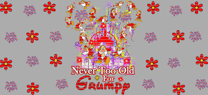 16oz Disney style-D-1134